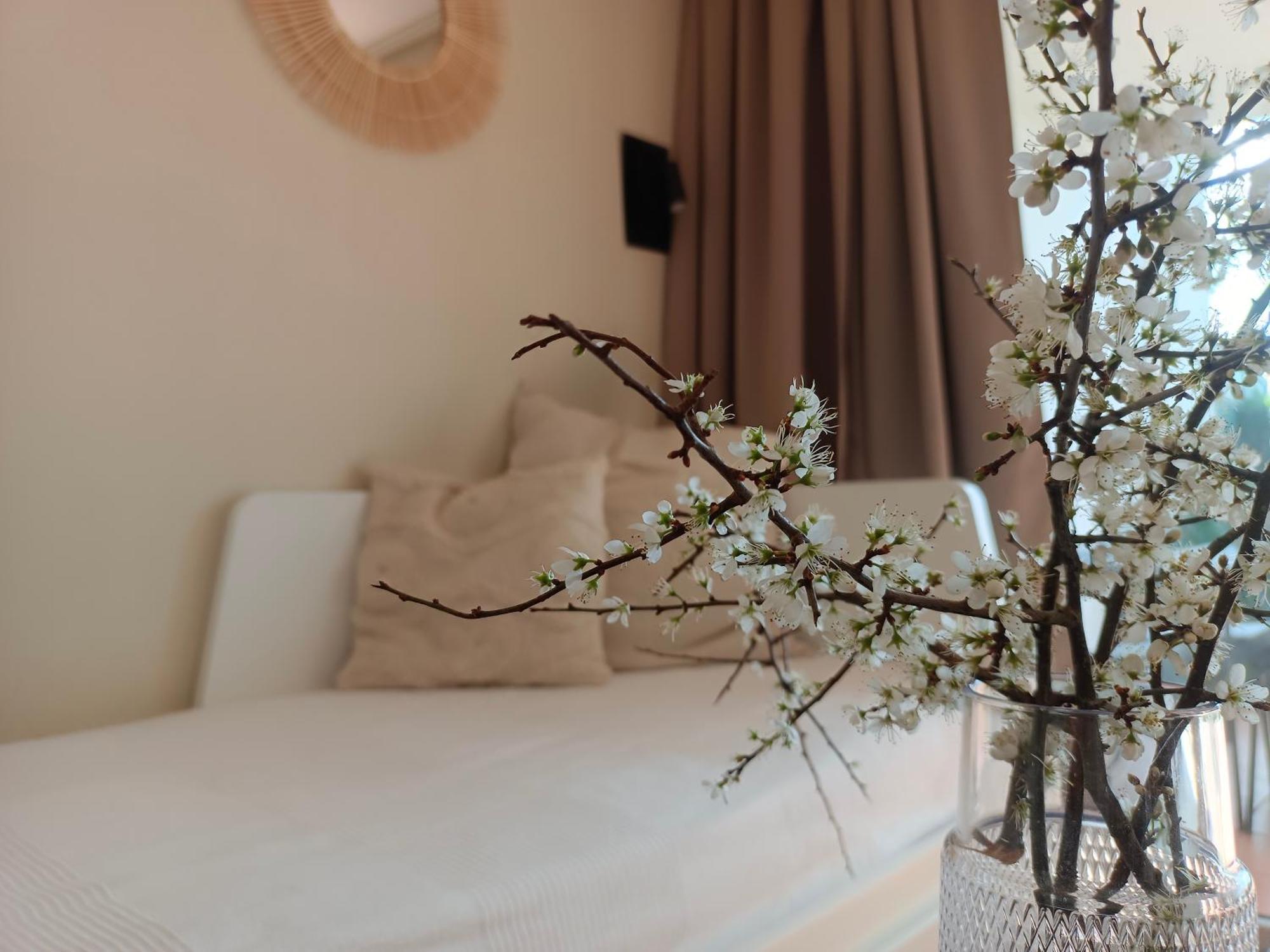 T1 Bis Avec Piscine Vue Golf Et Montagnes Apartment อาร์กองส์ ภายนอก รูปภาพ